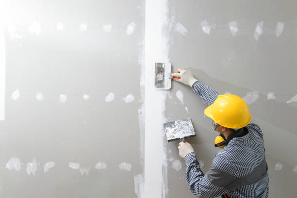 Best Drywall Texturing  in Ridgemark, CA